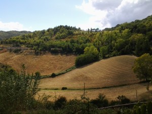 panorama